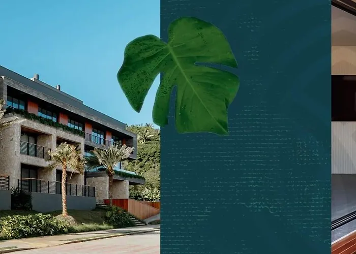 Apto Novo Studio Nature A 50 M Da Praia